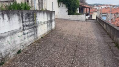 Βέροια:-Ομολόγησε-τον-άγριο-ξυλοδαρμό-της-24χρονης-ο-νεαρός-που-προσήχθη-–-Παραμένει-σε-κρίσιμη-κατάσταση-το-θύμα