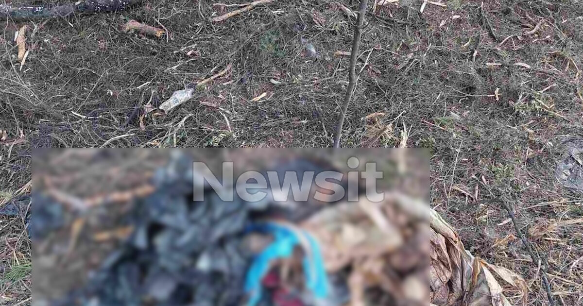 Χαλκιδική:-«Η-γυναίκα-της-κόκκινης-βαλίτσας-μπορεί-να-είναι-η-κόρη-μου»-λέει-πατέρας-αγνοούμενης