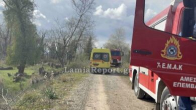 Τραγωδία-στη-Λαμία:-68χρονος-καταπλακώθηκε-από-δέντρο-και-πέθανε-μπροστά-στα-μάτια-της-γυναίκας-του
