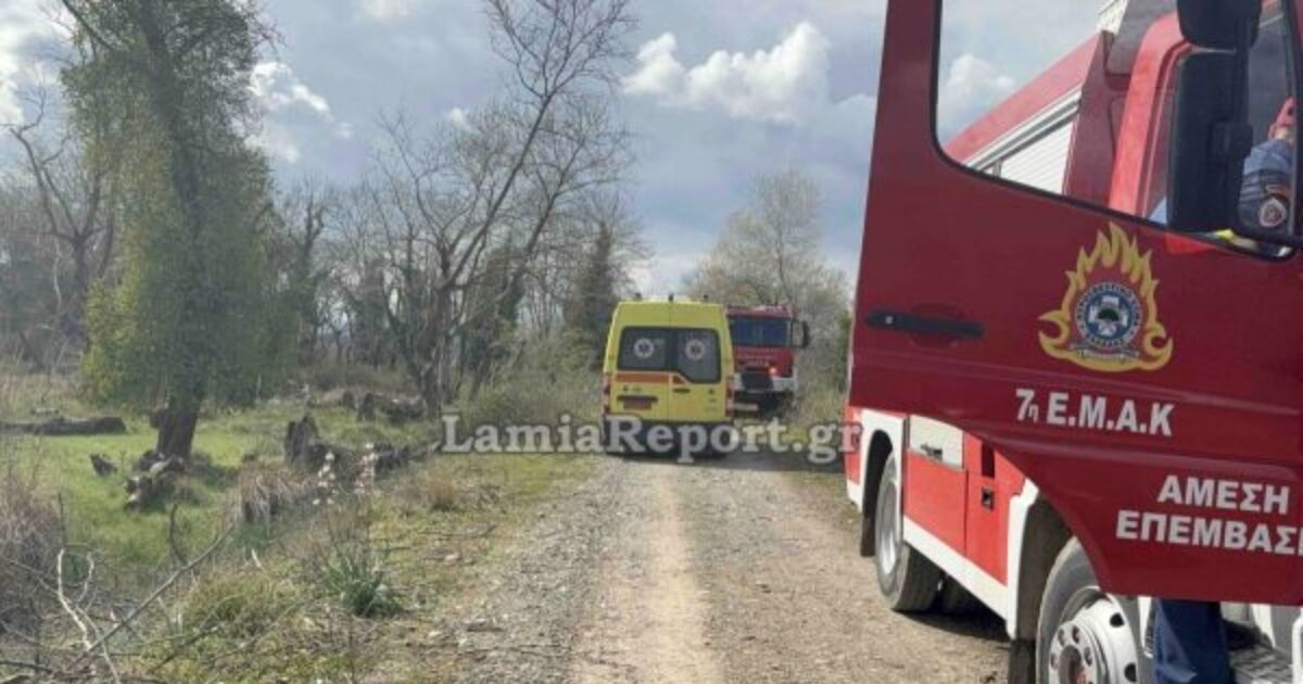 Τραγωδία-στη-Λαμία:-68χρονος-καταπλακώθηκε-από-δέντρο-και-πέθανε-μπροστά-στα-μάτια-της-γυναίκας-του