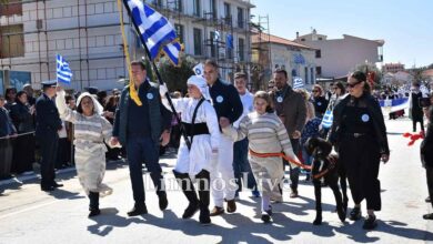 25η-Μαρτίου:-Μαθήτρια-Ειδικού-Σχολείου-στη-Λήμνο-έκανε-παρέλαση-με-τον-σκύλο-–-βοηθό-της