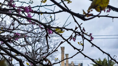 Καιρός-σήμερα:-Άνοδος-της-θερμοκρασίας-και-συννεφιά-σε-Αττική-και-Θεσσαλονίκη-–-Βροχές-στα-δυτικά