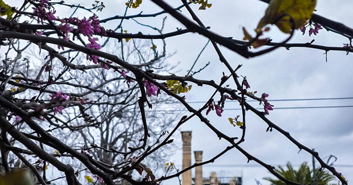 Καιρός-σήμερα:-Άνοδος-της-θερμοκρασίας-και-συννεφιά-σε-Αττική-και-Θεσσαλονίκη-–-Βροχές-στα-δυτικά