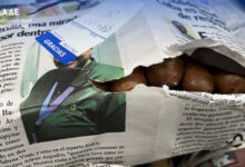 Κατασχέθηκαν-σχεδόν-3000-λαθραία-πούρα-Αβάνας-αξίας-440.000-ευρώ-στο-αεροδρόμιο-«Ελευθέριος-Βενιζέλος»