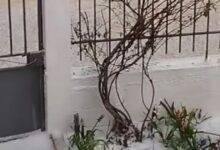 Ισχυρό-χαλάζι-έπληξε-την-Κορινθία:-Σε-Νεμέα-και-Δερβενάκια-τα-μεγαλύτερα-προβλήματα-–-Δείτε-βίντεο