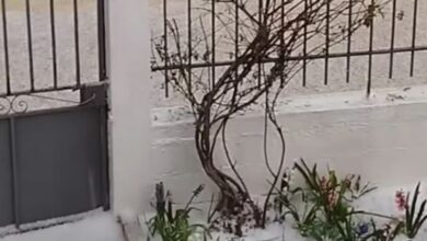 Ισχυρό-χαλάζι-έπληξε-την-Κορινθία:-Σε-Νεμέα-και-Δερβενάκια-τα-μεγαλύτερα-προβλήματα-–-Δείτε-βίντεο