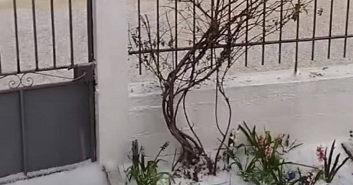 Ισχυρό-χαλάζι-έπληξε-την-Κορινθία:-Σε-Νεμέα-και-Δερβενάκια-τα-μεγαλύτερα-προβλήματα-–-Δείτε-βίντεο