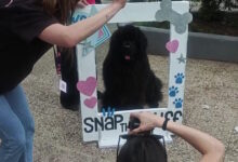 Παγκράτι:-Ουρές-σκυλιών-για-να-βγάλουν-το-καλύτερο-κλικ-σε-δωρεάν-φωτογράφιση-στην-πλατεία-Βαρνάβα