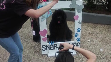 Παγκράτι:-Ουρές-σκυλιών-για-να-βγάλουν-το-καλύτερο-κλικ-σε-δωρεάν-φωτογράφιση-στην-πλατεία-Βαρνάβα