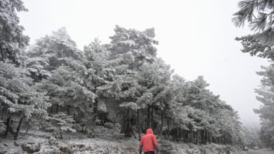 Καιρός:-Σφοδρές-καταιγίδες-και-πυκνό-χιόνι-στα-ορεινά-φέρνει-η-κακοκαιρία-«erminio»-–-Έκτακτο-δελτίο-επικίνδυνων-καιρικών-φαινομένων
