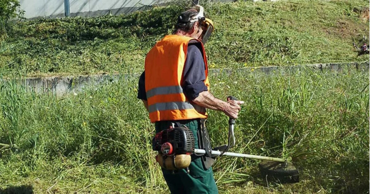 Αρχίζουν-την-1η-Απριλίου-οι-υποχρεωτικοί-καθαρισμοί-οικοπέδων-εν-όψει-αντιπυρικής-περιόδου