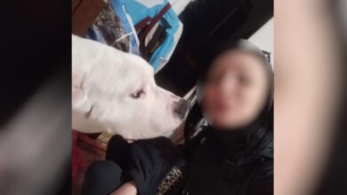 Κολωνός:-Αναπάντητα-ερωτήματα-για-την-31χρονη-έγκυο-που-βρέθηκε-νεκρή-–-Βασικός-ύποπτος-ο-σύντροφός-της