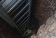 Σύρος:-Σκύλος-σώθηκε-μέσα-από-πηγάδι-15-μέτρων-–-Τον-έψαχναν-για-10-ημέρες