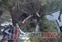 Νεαρή-οδηγός-καρφώθηκε-σε-δέντρο-στα-Καλάβρυτα:-Άμορφη-μάζα-το-αυτοκίνητο,-σώθηκε-από-θαύμα-–-Δείτε-εικόνες
