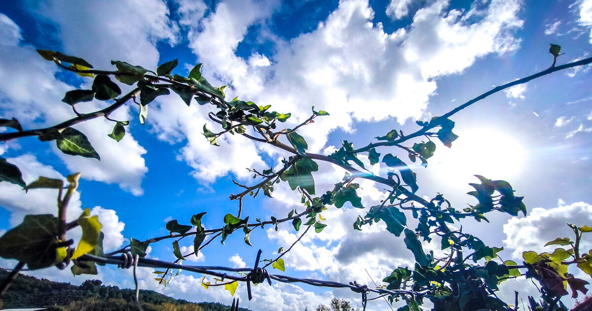 Καιρός-αύριο:-Λιακάδα-με-λίγη-συννεφιά-στο-μεγαλύτερο-μέρος-της-χώρας-–-Πιθανότητα-βροχών-στην-Κρήτη