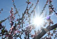 Καιρός-σήμερα:-Ηλιοφάνεια-με-λίγη-συννεφιά-–-Βροχές-σε-περιοχές-της-Κρήτης