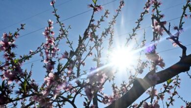 Καιρός-σήμερα:-Ηλιοφάνεια-με-λίγη-συννεφιά-–-Βροχές-σε-περιοχές-της-Κρήτης