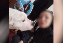 Κολωνός:-Ποινική-δίωξη-για-τρία-κακουργήματα-στον-σύντροφο-της-31χρονης-που-βρέθηκε-νεκρή-στο-σπίτι-της