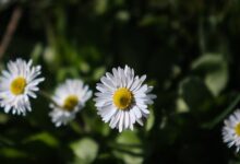 Καιρός-σήμερα:-Στους-20-βαθμούς-θα-σκαρφαλώσει-η-θερμοκρασία