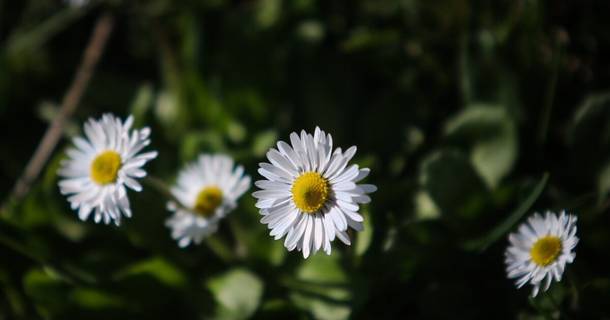 Καιρός-σήμερα:-Στους-20-βαθμούς-θα-σκαρφαλώσει-η-θερμοκρασία