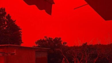 Κακοκαιρία-erminio:-Η-Αφρικανική-σκόνη-έχει-«πνίξει»-την-Κρήτη,-ισχυρές-βροχές-και-καταιγίδες-σε-όλη-τη-χώρα