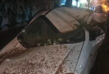 Κακοκαιρία-erminio:-Δέντρο-καταπλάκωσε-αυτοκίνητο-στην-Ηλιούπολη