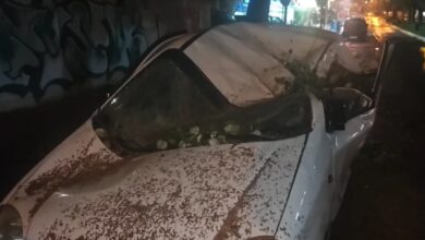 Κακοκαιρία-erminio:-Δέντρο-καταπλάκωσε-αυτοκίνητο-στην-Ηλιούπολη