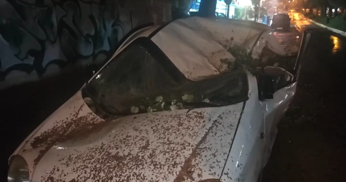 Κακοκαιρία-erminio:-Δέντρο-καταπλάκωσε-αυτοκίνητο-στην-Ηλιούπολη