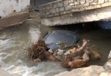 Κακοκαιρία-erminio:-Εικόνες-καταστροφής-στον-Πόρο-–-Μπαζωμένο-ρέμα-«φούσκωσε»-σε-ορμητικό-χείμαρρο