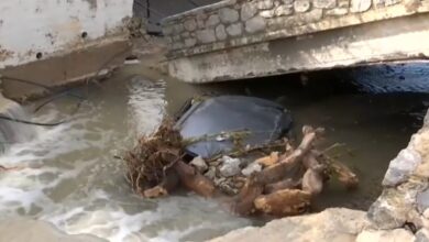 Κακοκαιρία-erminio:-Εικόνες-καταστροφής-στον-Πόρο-–-Μπαζωμένο-ρέμα-«φούσκωσε»-σε-ορμητικό-χείμαρρο