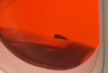 Κρήτη:-Τρόμος-για-γυναίκα-που-πετούσε-πάνω-από-τον-πορτοκαλί-ουρανό-που-έφερε-η-κακοκαιρία-erminio