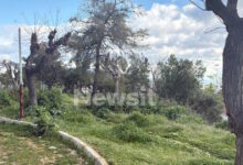 Περιστέρι:-5-φορές-πυροβόλησε-ο-άνδρας-που-ζήτησε-από-παιδιά-να-τον-τραβήξουν-βίντεο-–-Τον-ψάχνει-η-αστυνομία