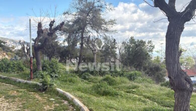 Περιστέρι:-5-φορές-πυροβόλησε-ο-άνδρας-που-ζήτησε-από-παιδιά-να-τον-τραβήξουν-βίντεο-–-Τον-ψάχνει-η-αστυνομία